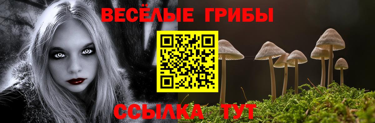 Галлюциногенные грибы Psilocybine cubensis  Вход с VPN  Галлюциногенные грибы GOLDEN TEACHER  Керчь 